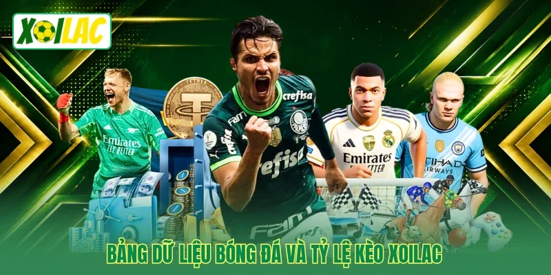 Bảng dữ liệu bóng đá và tỷ lệ kèo Xoilac