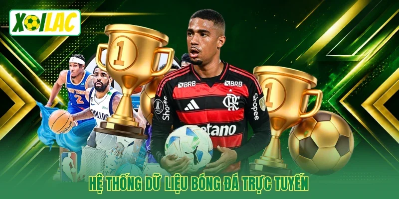 Hệ thống dữ liệu bóng đá trực tuyến